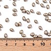 Baking Painted Glass Seed Beads SEED-C004-04M-4