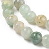 Natural Africa Jade Beads Strands G-B006-01-2
