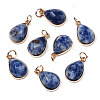 Natural Blue Spot Jasper Pendants G-S359-364A-1