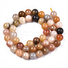 Natural Golden Silk Jade Beads Strands G-S373-004-8mm-2