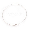 Stainless Steel Memory Wire X-STAS-S074-01-2