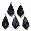 Natural Sodalite Charms G-Q998-029F-1