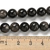 Natural Silver Obsidian Beads Strands G-S150-20A-10MM-5