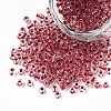 8/0 Transparent Glass Seed Beads SEED-F003-03B-03-1