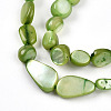 Natural White Shell Beads Strands SHEL-N036-21D-3