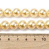 Electroplated Shell Pearl Beads Strands BSHE-G041-10mm-01-4