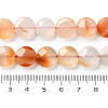 Natural Agate Beads Strands G-H024-A01-02-5