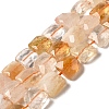 Natural Citrine Beads Strands G-C109-A11-01-1