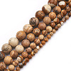 4 Strands 4 Sizes Natural Picture Jasper Beads Strands G-TA0001-29-3