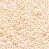 MIYUKI Round Rocailles Beads SEED-JP0009-RR2022-4