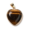 Natural Tiger Eye Pendants G-K335-04G-14-2