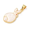 Brass Enamel Pendants LS-KK-H534-06G-01-2