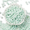 Baking Paint Glass Seed Beads SEED-C003-02I-2