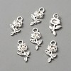 Alloy Pendants FIND-WH0111-261S-2