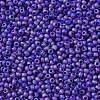 TOHO Round Seed Beads SEED-XTR11-0408F-2