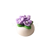 Polymer Clay Potted Plant Miniature Ornaments PW-WGA50CA-06-1