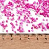 Baking Paint Glass Seed Beads X-SEED-S042-05B-47-4