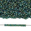 TOHO 11/0 Round Beads X-SEED-TR11-0179F-4