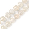 Natural White Moonstone Beads Strands G-B094-A17-01-2