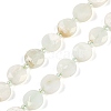 Natural Green Opal Beads Strands G-C116-A13-01A-2