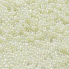 Glass Seed Beads SEED-K009-02B-25-3