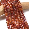 Natural Fire Crackle Agate Beads Strands X-G-G212-8mm-10-1
