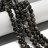 Natural Silver Obsidian Beads Strands G-S150-20A-10MM-2