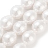 Electroplated Shell Pearl Beads Strands BSHE-H110-01-03-2