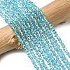 Glass Beads Strands LS-EGLA-S056-2mm-03-3
