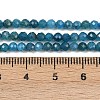 Natural Apatite Beads Strands X-G-E411-36-3mm-01-5