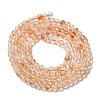 Natural Citrine Beads Strands G-B090-A25-03-3