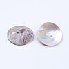 Natural Sea Shell Buttons SSHEL-F301-58-2