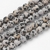 Natural Dalmatian Jasper Bead Strands G-G735-68F-6mm-1