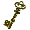 Tibetan Style Alloy Pendants LS-EA301Y-NFAB-1
