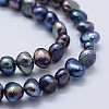 Natural Cultured Freshwater Pearl Beads Strands PEAR-K004-13A-3