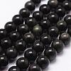 Natural Obsidian Beads Strands G-D838-10mm-04-1