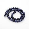 Sodalite Round Bead Strands G-P070-46-10mm-2