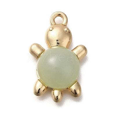 Acrylic Alloy Pendants FIND-M041-03B-1