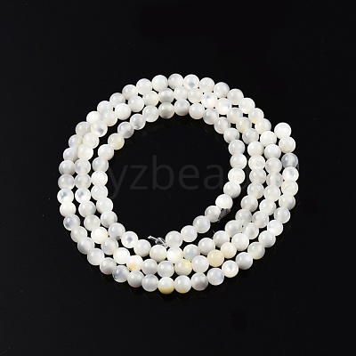 Natural White Shell Bead Strands SSHEL-N003-144C-01-1