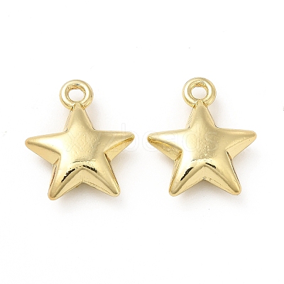 Rack Plating Alloy Charms FIND-G044-03LG-1
