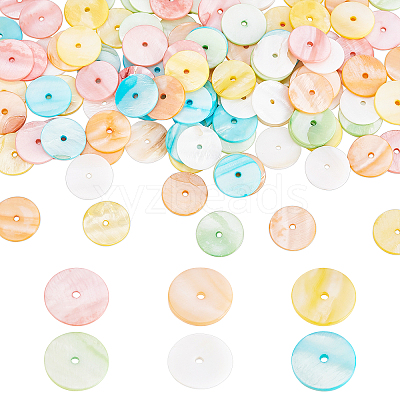 120Pcs 6 Colors Dyed Natural Shell Beads SHEL-PH0001-23-1