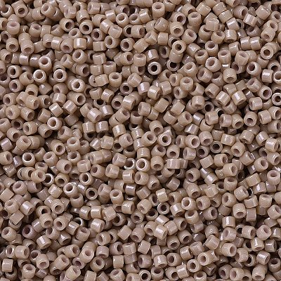 MIYUKI Delica Beads SEED-X0054-DB2105-1