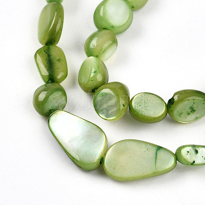 Natural White Shell Beads Strands SHEL-N036-21D-1