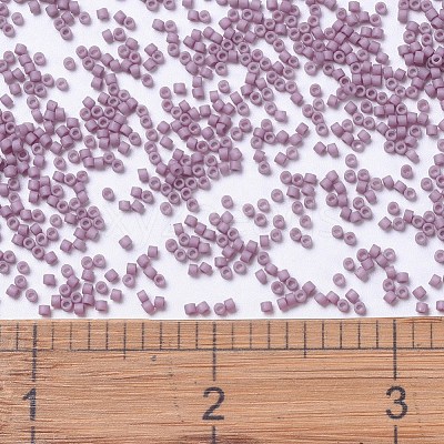 MIYUKI Delica Beads X-SEED-J020-DB0800-1