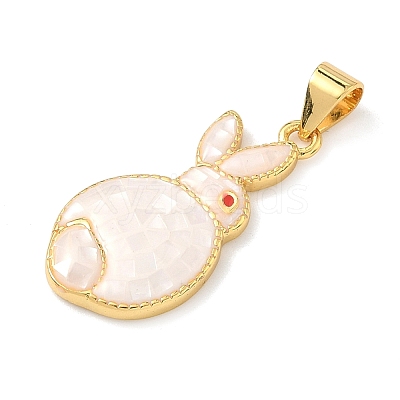 Brass Enamel Pendants LS-KK-H534-06G-01-1