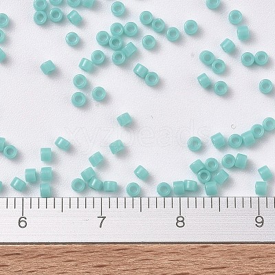 MIYUKI Delica Beads SEED-J020-DB1136-1