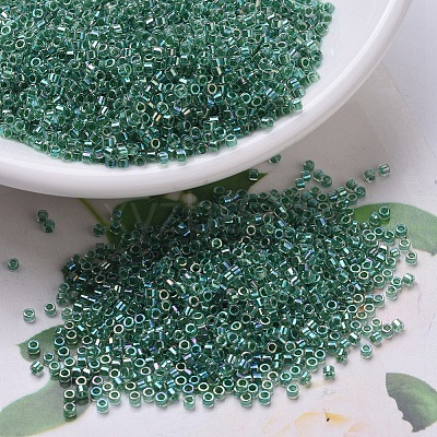 MIYUKI Delica Beads X-SEED-J020-DB0060-1