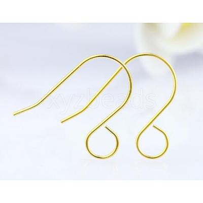 100Pcs 316 Stainless Steel French Earring Hooks JX138B-1