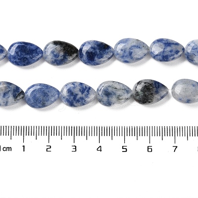 Natural Blue Spot Jasper Beads Strands G-K357-A06-01-1