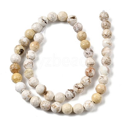 Natural Magnesite Beads Strands G-P598-E-8mm-03-1